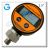 The Structure Principle and Technical Index of Hydraulic Pressure Gauge