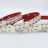 New Arrival: 2216 Dual Color led strip light--560LED/m 2.5cm/cut 2400-2600lm/W