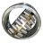 Double Row Spherical Roller Bearing