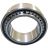 Toroidal Roller Bearing