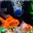 What Does the Aquarium Bubbler Do and What Disadvantages Does It Have?