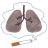 呼吸器専門医「喫煙者は感染しやすい。肺細胞への侵入を、酵素が助けてしまう。」