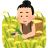 弥生時代後期の日本列島に、稲作とともに結核が伝わる。