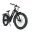 HJM Toury Step-Thru E-Bike